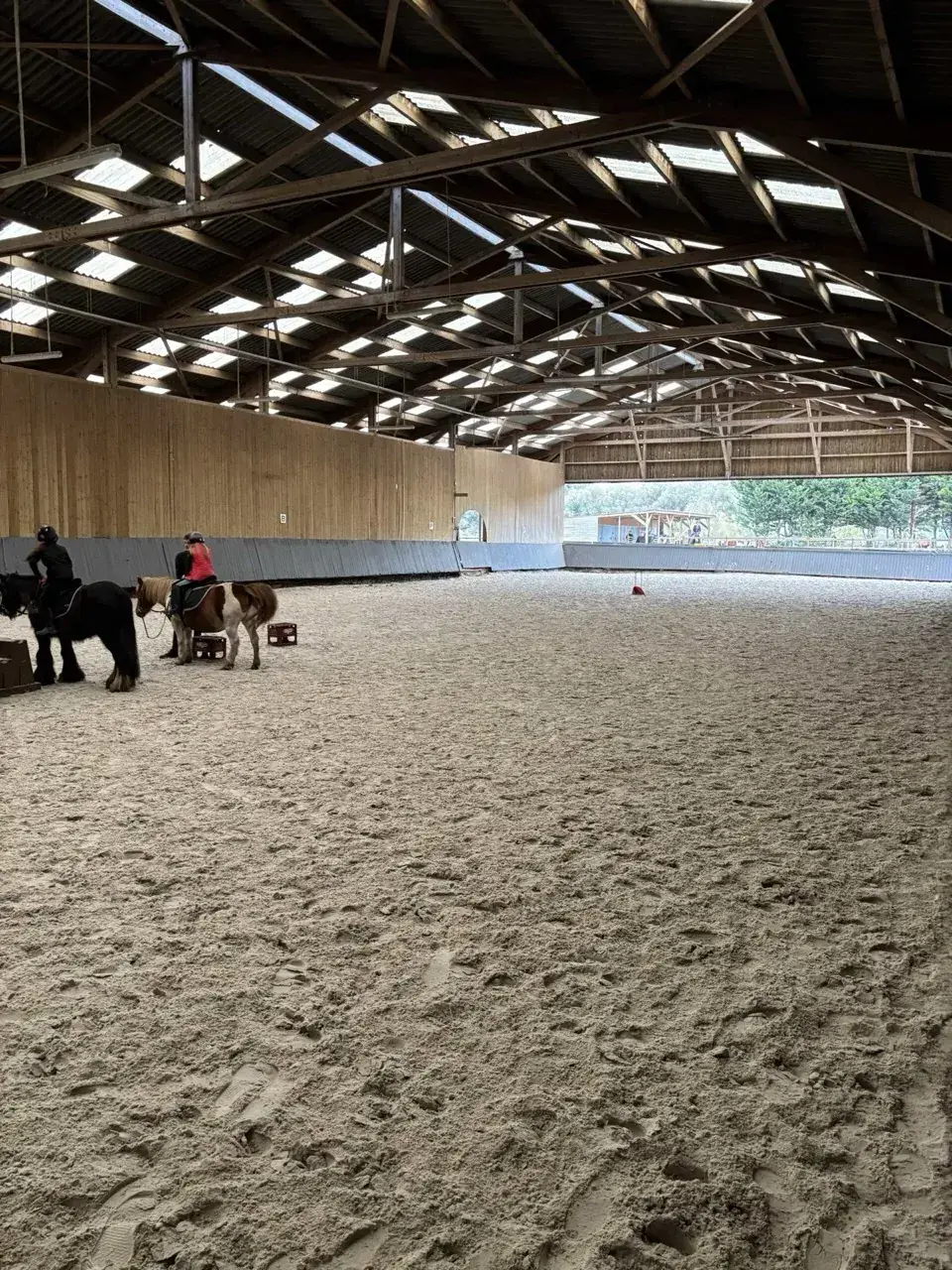 Cours d'équitation